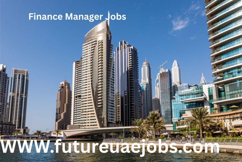 Finance Manager Jobs