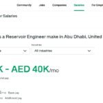 Petroleum / Reservoir Engineer